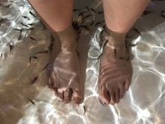 -水晶之星洗浴温泉汗蒸