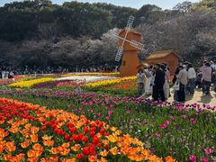 -苏州上方山国家森林公园