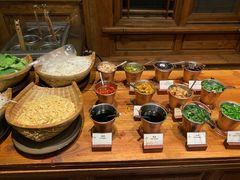 -松赞拉萨林卡酒店