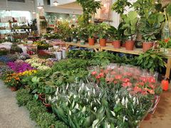 -双季花艺园艺市场(浦东店)