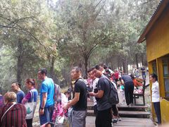 -原山国家森林公园