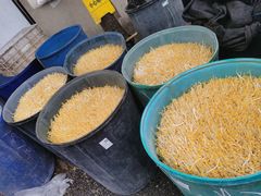 -江杨农产品批发市场