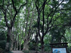 -采石矶景区