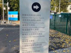 -三里屯东五街银杏大道