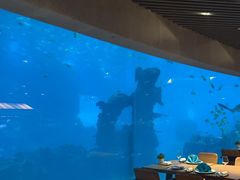-海棠湾洲际-涛·海底餐厅·美人鱼·自助餐·海底隧道