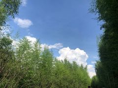 -杭州双溪漂流景区