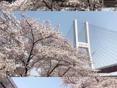 -南浦大桥长途旅游客运站