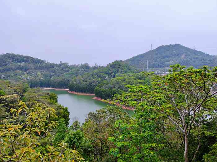 阳台山森林公园-"年三十去玩,公园进口处人挺多的,小朋友喜.