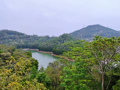 景点-阳台山森林公园
