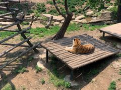 -大连森林动物园