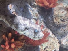 -福州罗源湾海洋世界旅游区