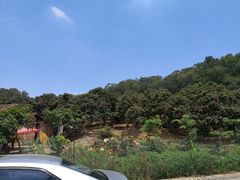 -牙山果园·烧烤野炊·钓鱼团建·烤全羊