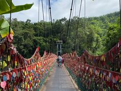 -西双版纳原始森林公园