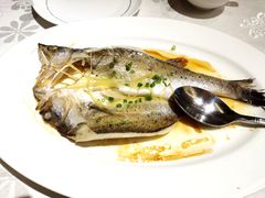 清蒸海鲈鱼-京粤荟(海王银河科技大厦店)
