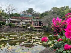 -广州莲花山旅游区