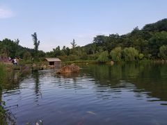 -南京银杏湖乐园