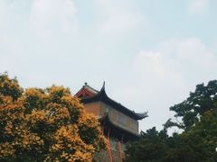 -镇淮楼