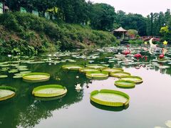 -广州莲花山旅游区