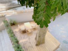 -椿风·养身茶饮(吉大店)