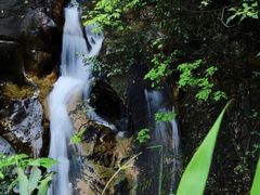 -鼎湖山风景区