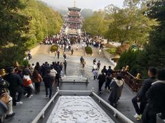 -庐山风景名胜区-东林大佛