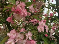 -白鹭湾湿地公园