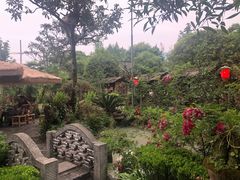 -青城甲(青城山店)