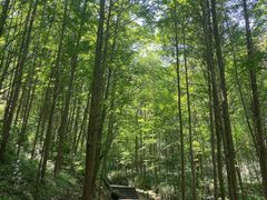 -凤栖山
