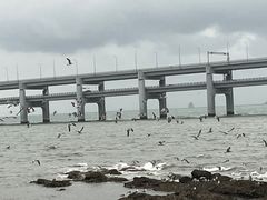 -黑石礁公园