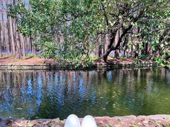 -上海共青森林公园