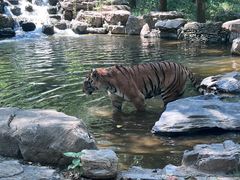 -北京野生动物园
