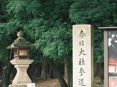 -奈良公园