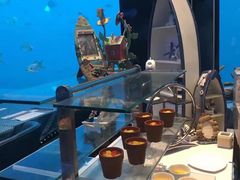 -瑞德姆美人鱼海底演艺主题餐厅(亚龙湾店)