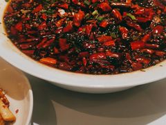 -眉州东坡(春秀路店)