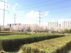-南关北海公园