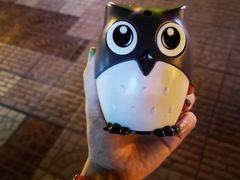 -小邓石棉铁板烧(流星花园店)