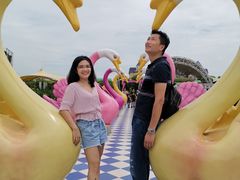 -百万葵园