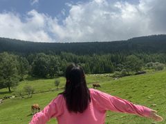 -芦芽山旅游度假区