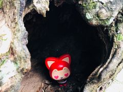 -南尖岩