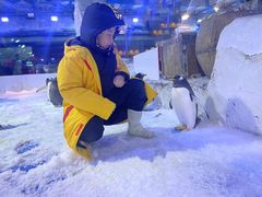 -芜湖新华联大白鲸海洋公园