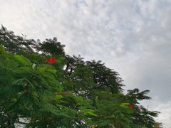 -三妹小龙虾·黄油蟹(华侨城总店)