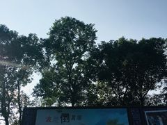 -金山农民画村-枫泾波兰倒置屋