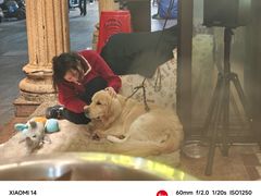 -黔哆哆地摊酸汤火锅(清湖店)
