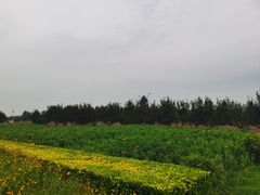 -君乐宝优致牧场