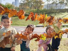 -宾果蒙特梭利托育儿童之家幼儿园(爱琴海店)