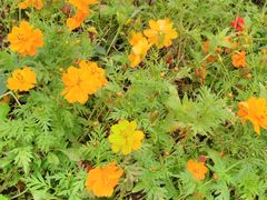 -永定河休闲森林公园