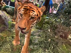 -国家自然博物馆