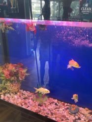 -尚逸男士理发馆·专注男发