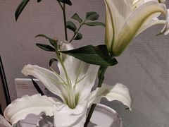 -四季餐厅·新津菜(环湖中路店)