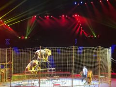 -珠海横琴长隆《卡卡虎奇遇记》